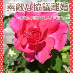 素敵な協議離婚～あなたが恋するメイドの私～