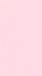 君の音、君の歌