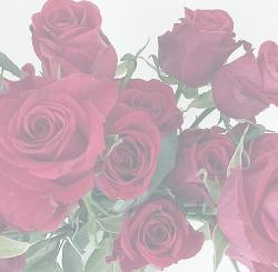 スイーツみたいに甘くない。