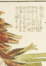 本草図譜第六巻(抄録)。