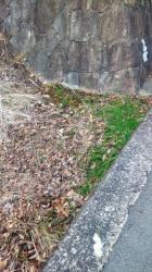 曖昧さを表現できるファジィ論理。