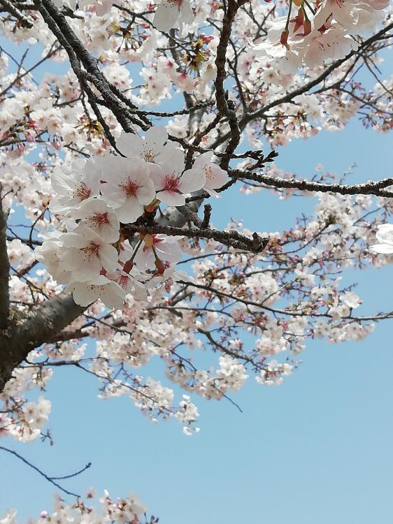 大家族になっちゃった⁉️