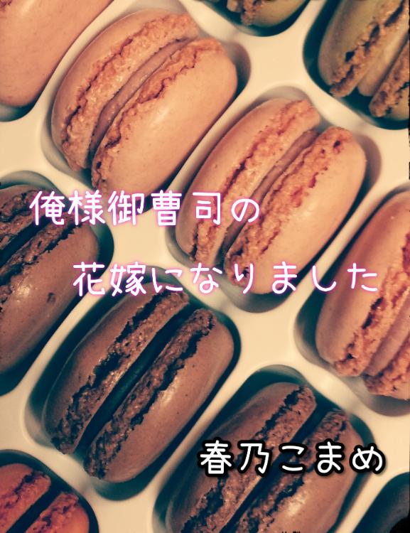 俺様御曹司の花嫁になりました