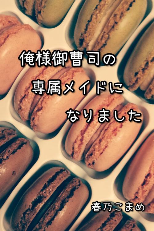 俺様御曹司の専属メイドになりました