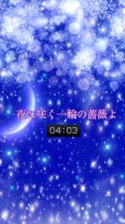 夜に咲く一輪の薔薇よ