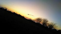 永遠の愛を君へ。