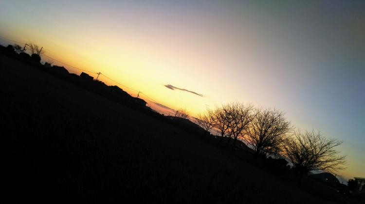 永遠の愛を君へ。