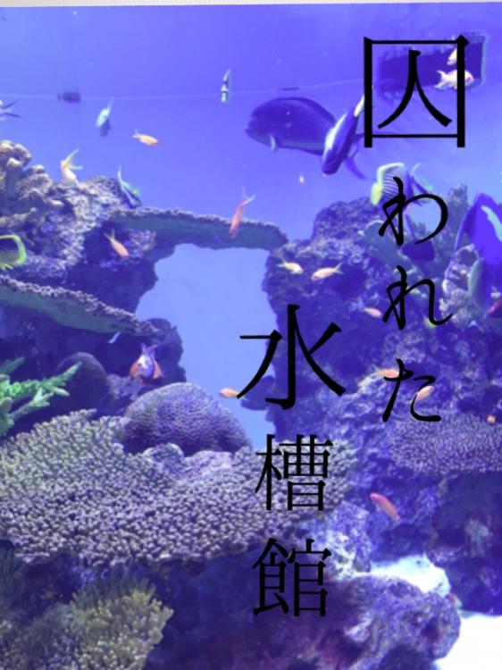 【完】囚われた水槽館~三人の御曹司からの甘美な誘愛~