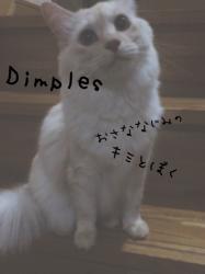 【完】Dimples 幼馴染のキミと僕