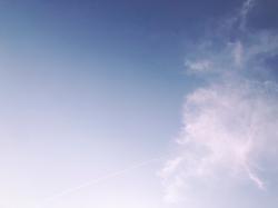 記憶を失っても。【完】