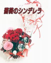 薔薇のシンデレラ