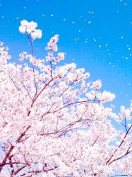 不死身の俺を殺してくれ