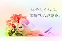 はやしくんに、紫陽花の花束を。