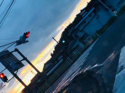 それでも好きです。