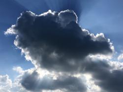 幸せってなんだろう