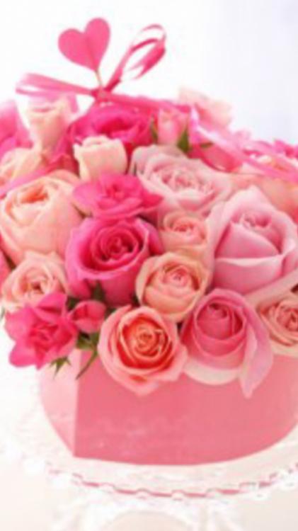 隣のイケメン先生にドキドキが止まらない～内緒の授業は放課後に～