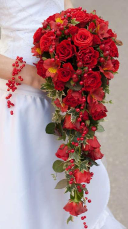 雪のように真っ白な心を情熱の赤に染めて～強引なイケメン過ぎる御曹司は甘くて熱い愛を注ぐ～