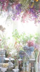 僕の1番大切な人【リニューアル版】