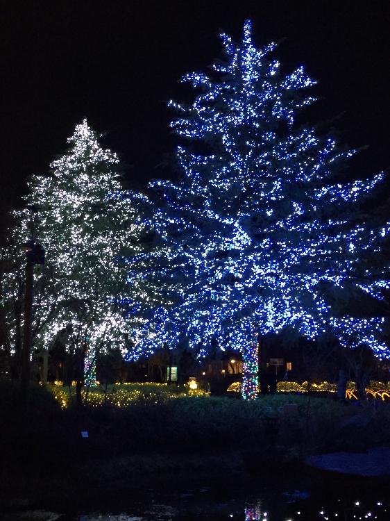 ﹢◊*ﾟ悲しみの果てに﹢◊*ﾟ