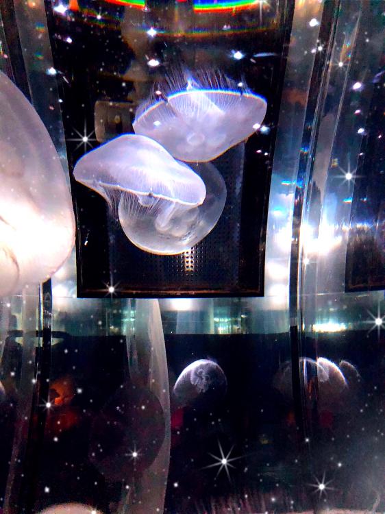 光〜ray of hope〜