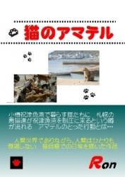 猫のアマテル