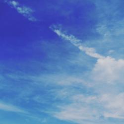 君は前しか見ない