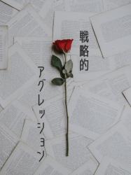 戦略的アグレッション