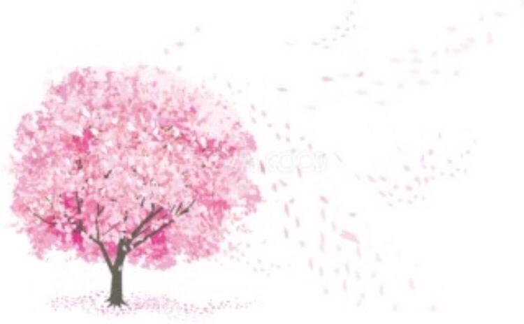 枯れた涙、満開の笑顔。