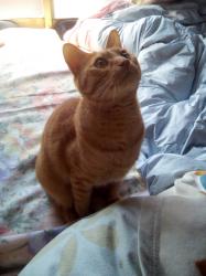 無表情のその奥に