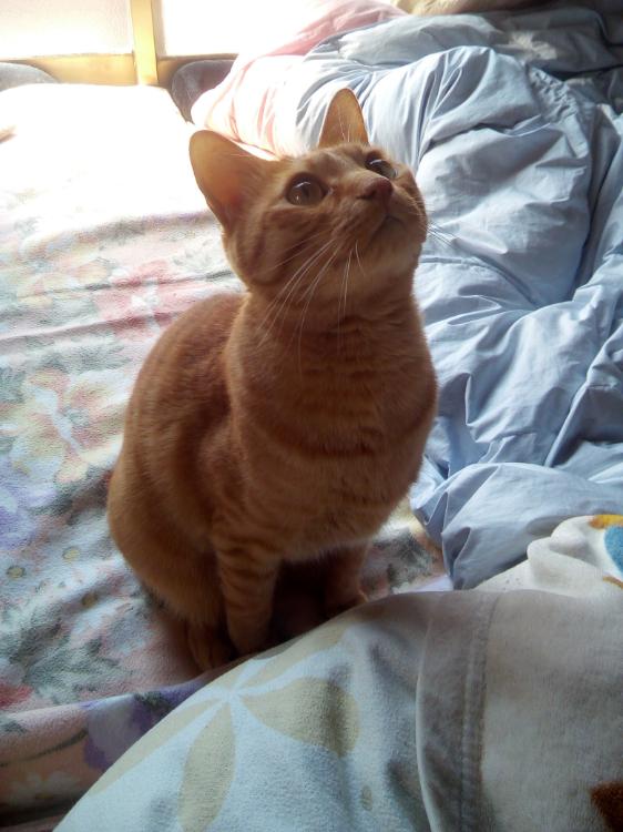 無表情のその奥に