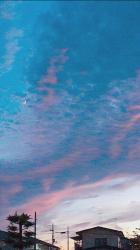 毒林檎と鉄仮面