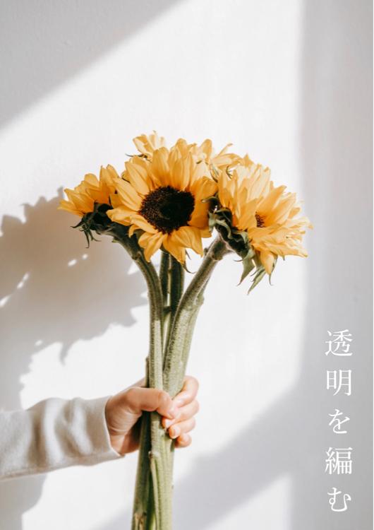 透明を編む 【完結】