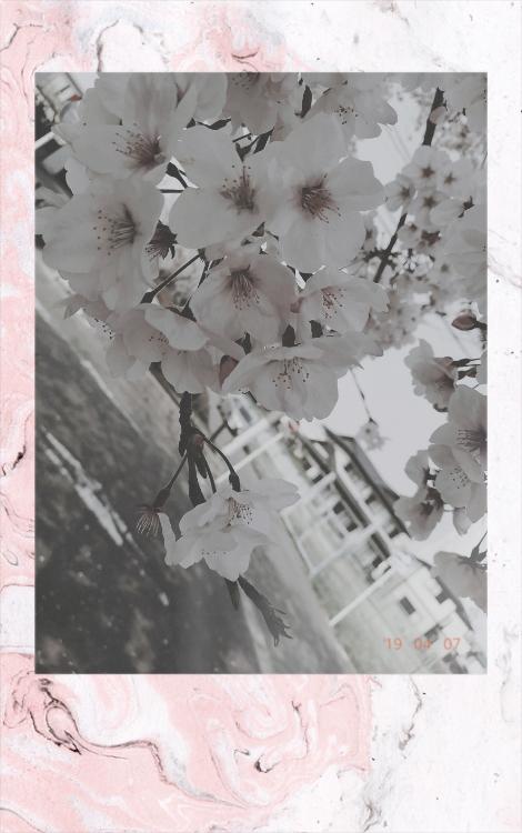 君に会うまでは…