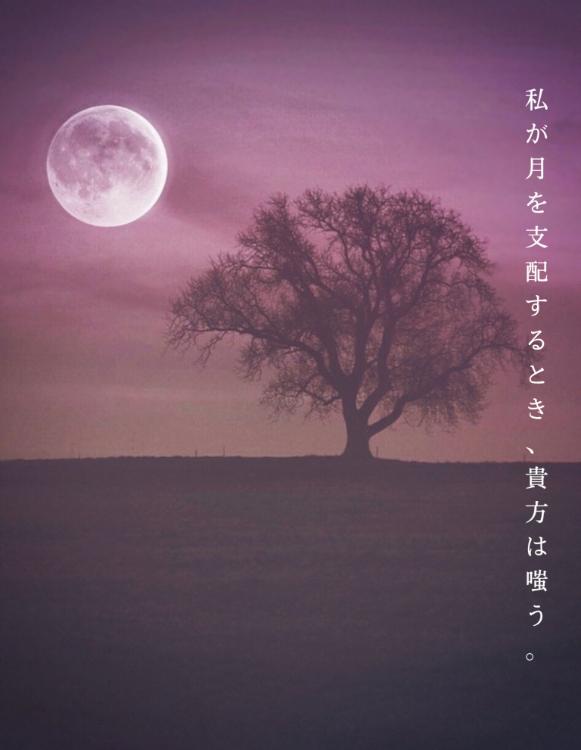 私が月を支配するとき、貴方は嗤う