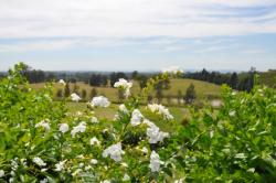 風の向かう場所