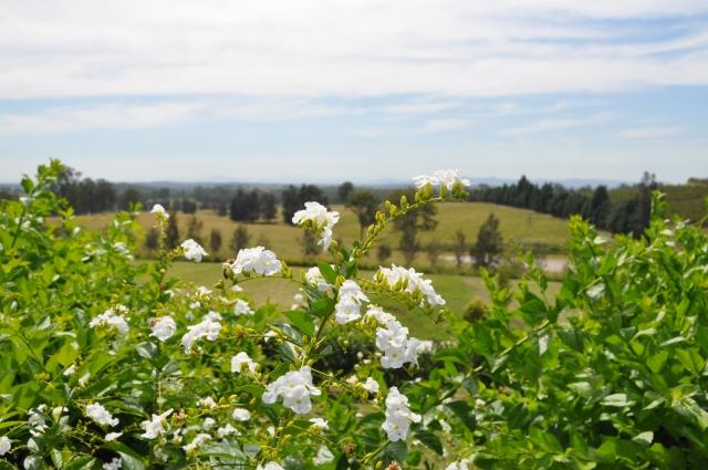 風の向かう場所