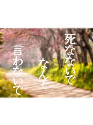"死なないで"なんて、言わないで。