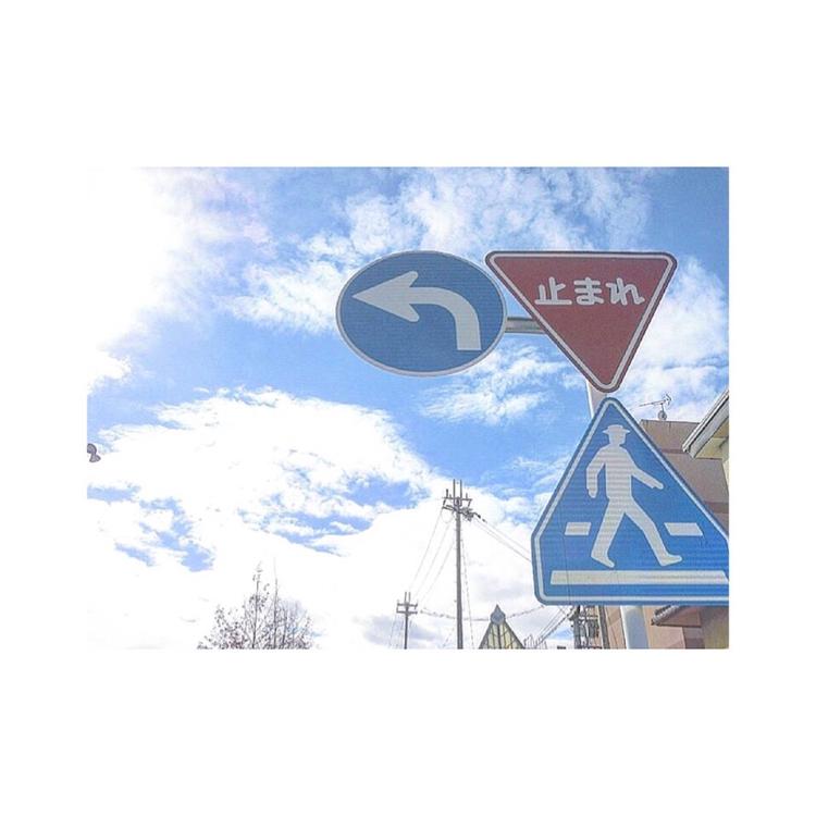 好きになってもいいですか。