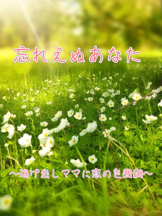 再会した財閥御曹司は逃げ出しママと秘密のベビーを溺愛で手放さない~運命なんて信じないはずでした~