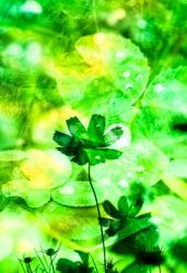 恋の駆け引き~イケメンDr.は新人秘書を手放せない~