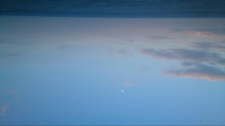 最後の一瞬でもいい…君に会いたい