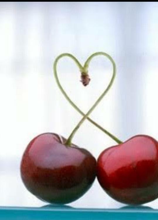 先生、恋しちゃダメですか？