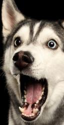 見返り恋は、ぶっ飛ばす！