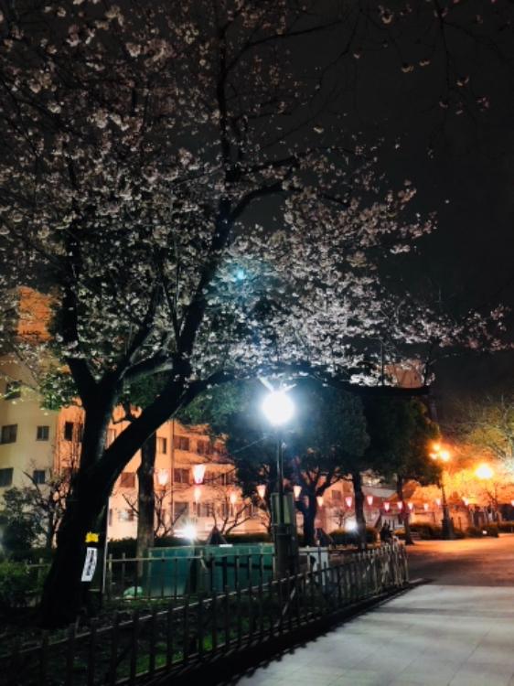 魔法学校の編入生