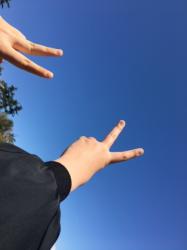 レモンシュガー