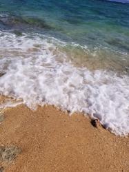 あのとき君の瞳には私がいた