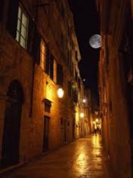 ソーニャに月下美人を