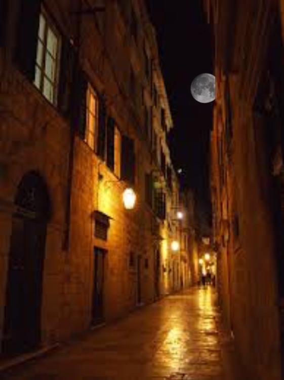 ソーニャに月下美人を