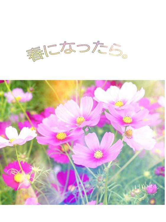 春になったら。