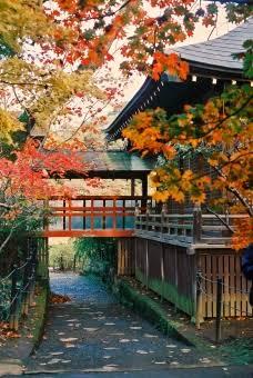 会いたい……。